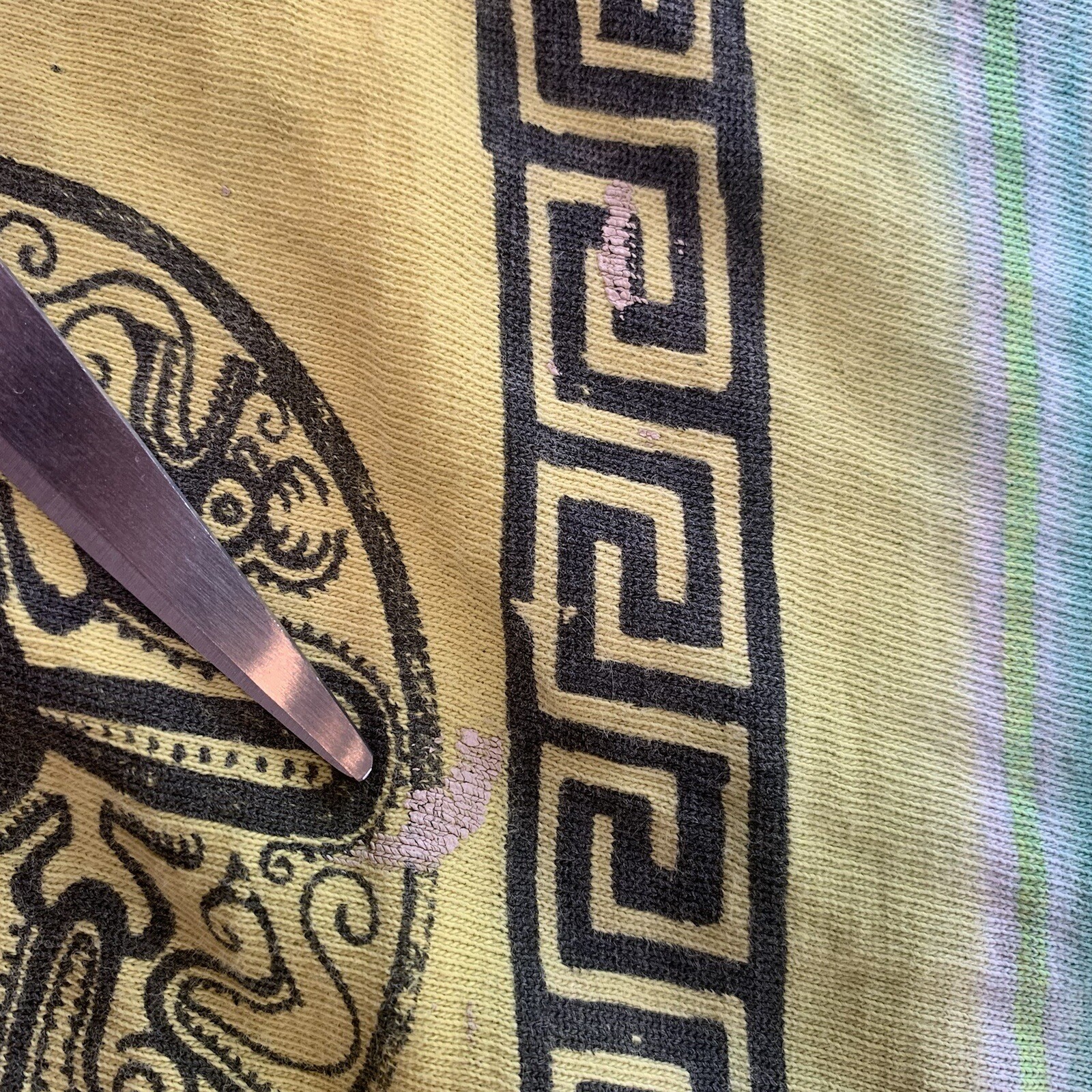 Picture 7 of 11