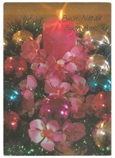 2001 Chris Nikolson Photo Carte Postale Joyeux Noël Vintage Couronne de Noël