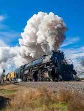 Union Pacific The Big Boy Steam Locomotive  Railroad Photo 8.5x11 Paper Luster