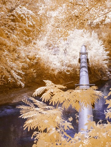 Infrared converted Camera Nikon D70 Full Spectrum