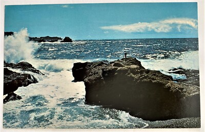 Point Lobo Carmel California CA Sea And Rocks View Postcard