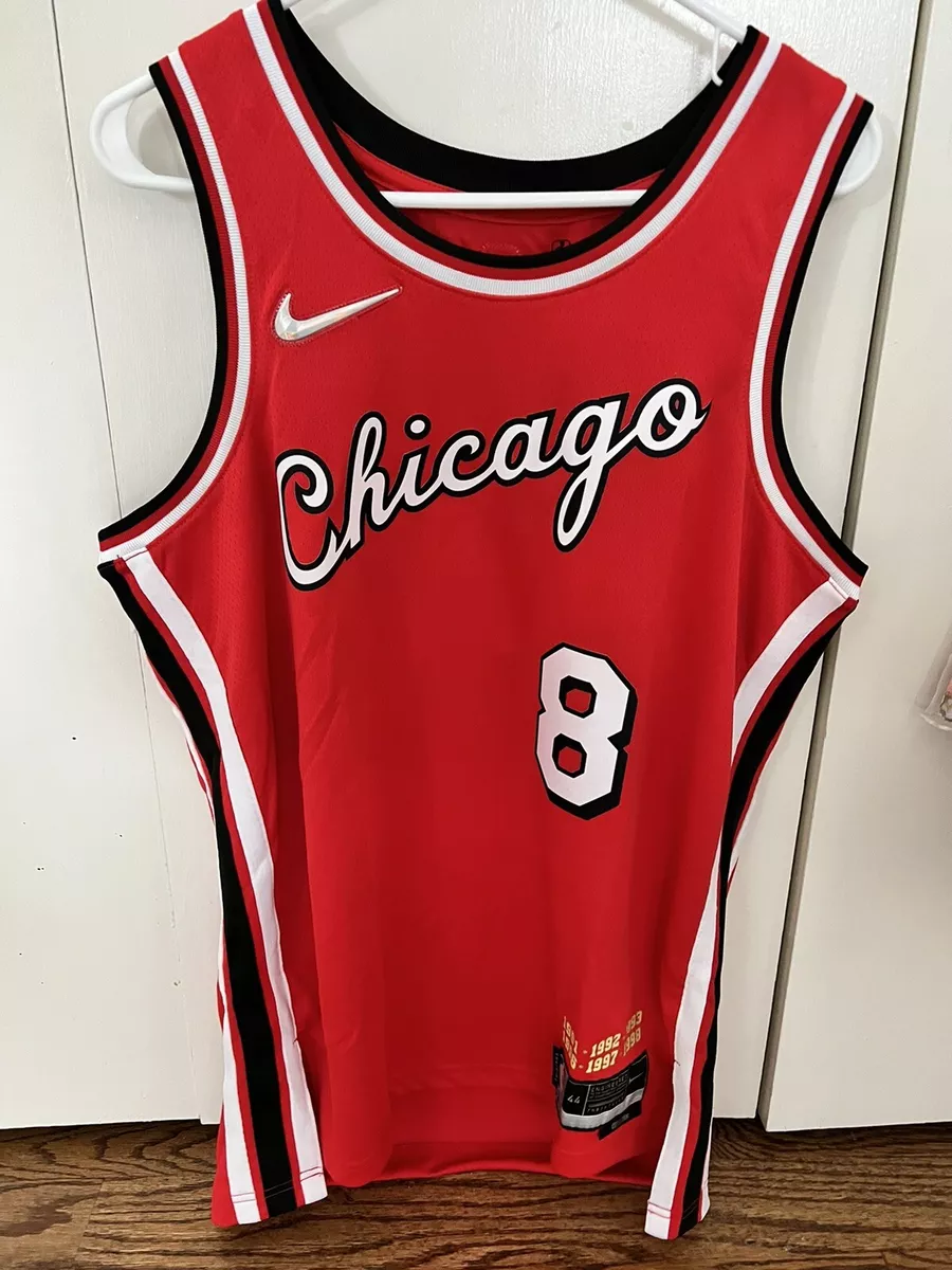 Nike / Men's 2021-22 City Edition Chicago Bulls Zach LaVine #8