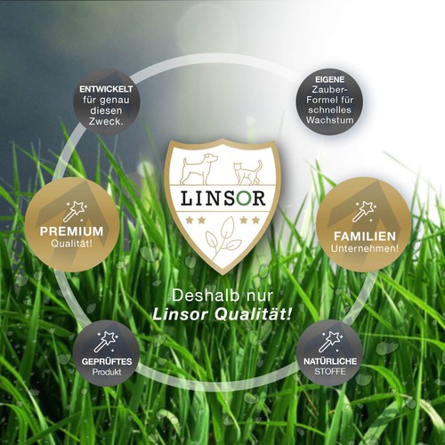 Linsor Zauberrasen Rasensamen Rasen Grassamen Gras Rasensaat Nachsaat Samen 2,5k - Bild 3 von 4
