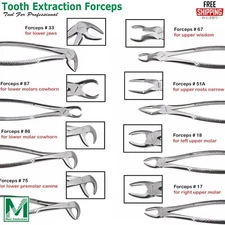 Dentist Tooth Extraction Forceps For Upper & Lower Molars Oral Surgery Pliers CE
