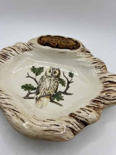 Brown ceramic trinket dish with white owl and green leaves, labeled “Grand Canyon” in gold lettering on lid.