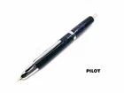 Pilot Vanishing Point Raden Galaxy 18K Fountain Pen *DDP for U.S buyer*