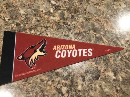 NHL MINI 4x9 PENNANTS ALL 32 TEAMS INCLUDING SEATTLE KRACKEN.CHOOSE YOUR FAV. - Picture 30 of 32
