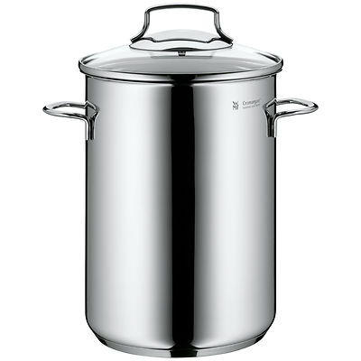 WMF Spargeltopf  mit Draht Einsatz 16 cm ca 4,5 ltr hoher Topf Spargel Induktion