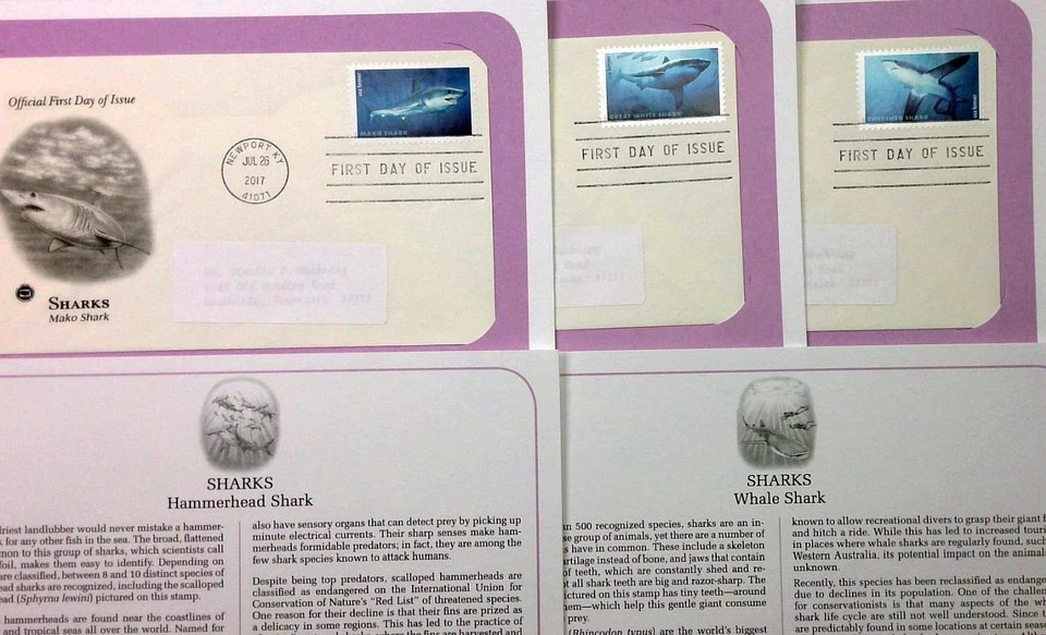 2017 Sharks Sc 5223-5227 FDCs PCS marine life Great White Hammerhead Mako - Image 2 of 2
