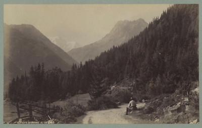 SUISSE THOUNE c1870 Photo F. CHARNAUX Stereo Vintage Albumine P70L4n