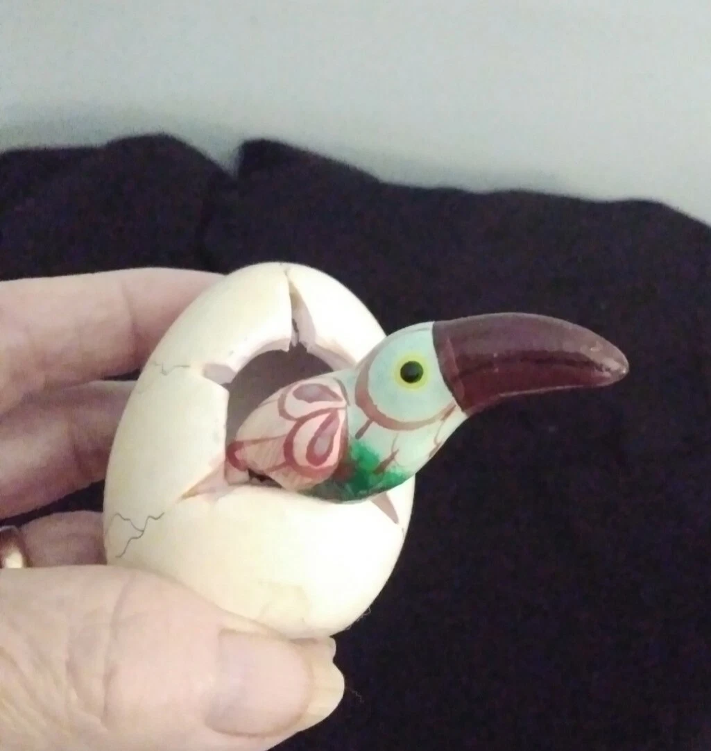 What Color Are Toucan Eggs