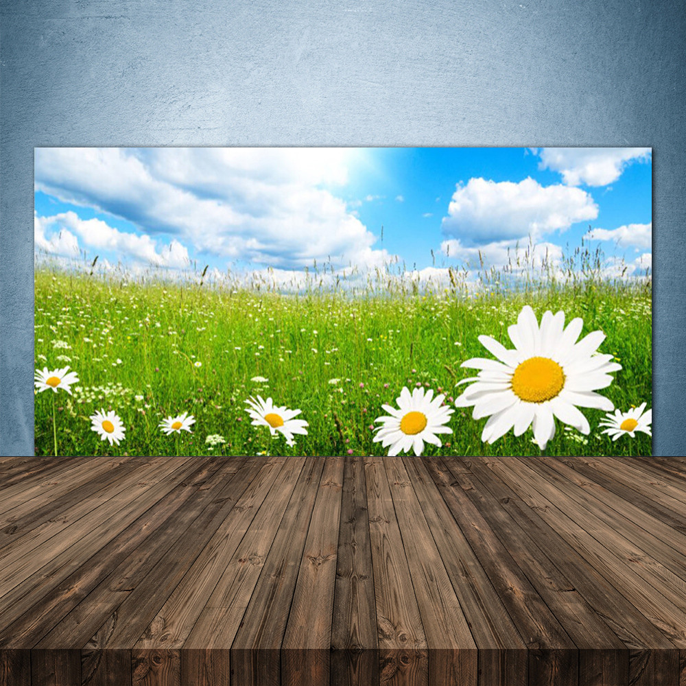 Crédence en verre cuisine nature 140x70 avec herbe et marguerites
