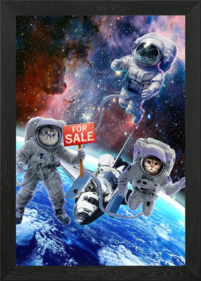 Space Shuttle for Sale Framed Wall Art Poster Canvas Print Picture