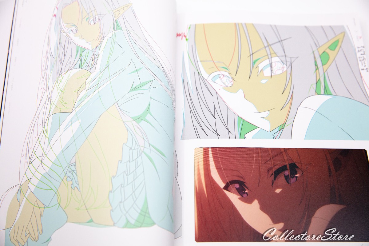 新品 the shadow of the official art works 古書古本 dessin：the shadow of the official art works（藤原