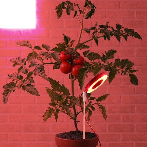 1 Set of LED Plant Grow Light Plants Adjustable Growing Light Adjustable - Bild 7 von 12