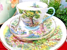 Shelley tea cup and saucer   Woodland floral pattern teacup flowered 1940s trio