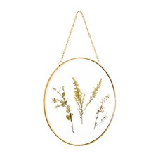 Hanging Gold Round Frame Glass Dried Pressed Flower Wall Art Decor 9x9 Inch