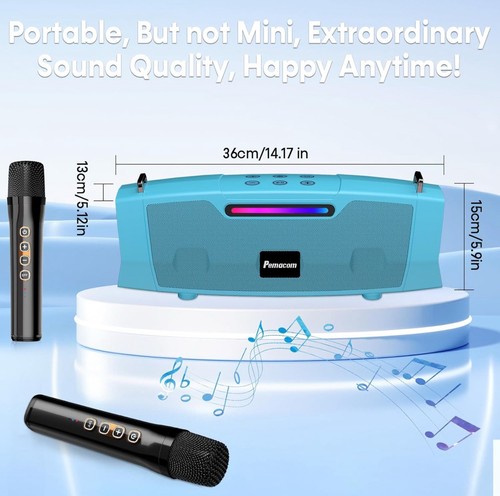 PEMACOM Portable Karaoke Machine With 2 Mics-Bluetooth-60w Powerful Sound-Blue - Picture 11 of 11
