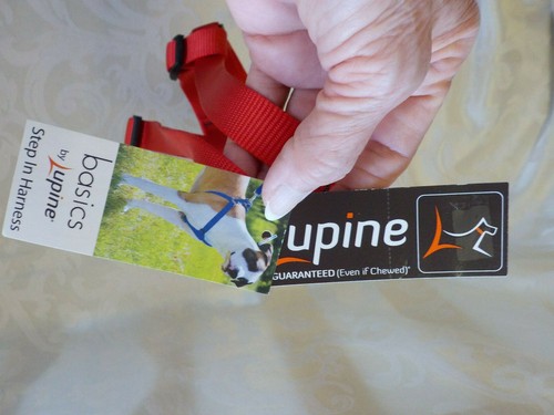 Lupine Red 3/4" Step-In Harness 20"-30" NWT Nylon Webbing Quality Guarantee USA - Picture 6 of 9