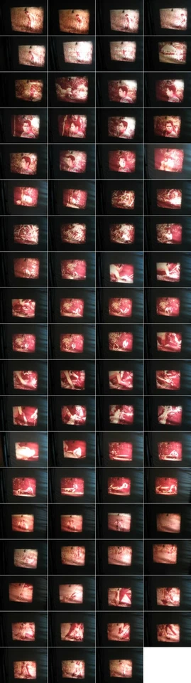  8 mm Film Alligator Fang,Seminol Indianer,Lebensgefahr 1970.Jahre.Action films