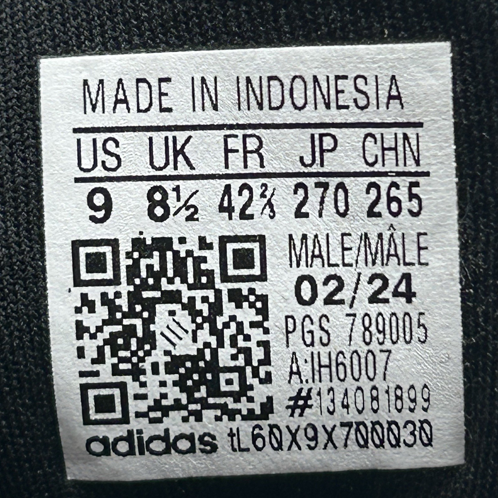 Foto 11 di 12