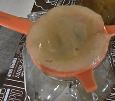 Live Kombucha SCOBY with Starter Tea   Ready to brew at home.