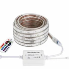 RGB LED Strip Light AC 110V 220V Flexible Waterproof 5050 LED Rope Light 1M- 15M