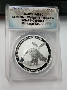 Wedge Tail Eagle | eBay