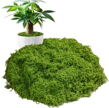 Betus Artificial Green Moss for Crafts 5.3oz Decorative Fake Moss DIY Home Decor