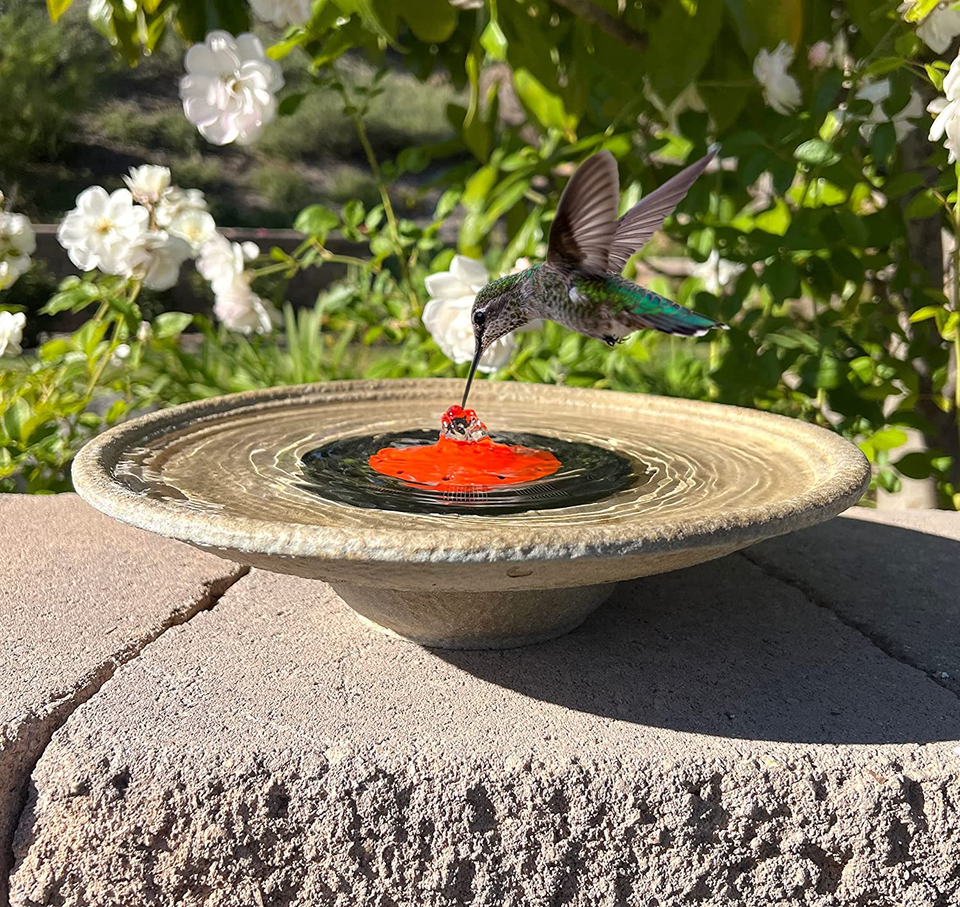 Quackups Solar Bubbler Fountain for Hummingbirds, Small Birds, Bird