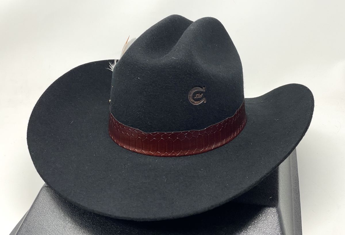 CHARLIE 1 HORSE SADDLE UP BY LAINEY WILSON COWBOY HAT | eBay display picture 1