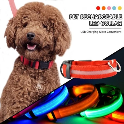 LED Dog Pet Collar USB Rechargeable Flashing Luminous Safety Night Light Up - Image 1 of 4