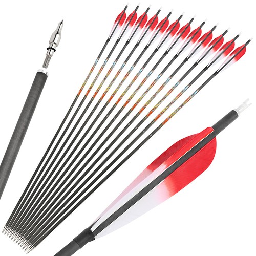 SP250-600 31" Archery Pure Carbon Arrows 5" Natural Feather Recurve Compound Bow - Picture 11 of 15