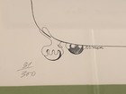 Foto 7 di 8