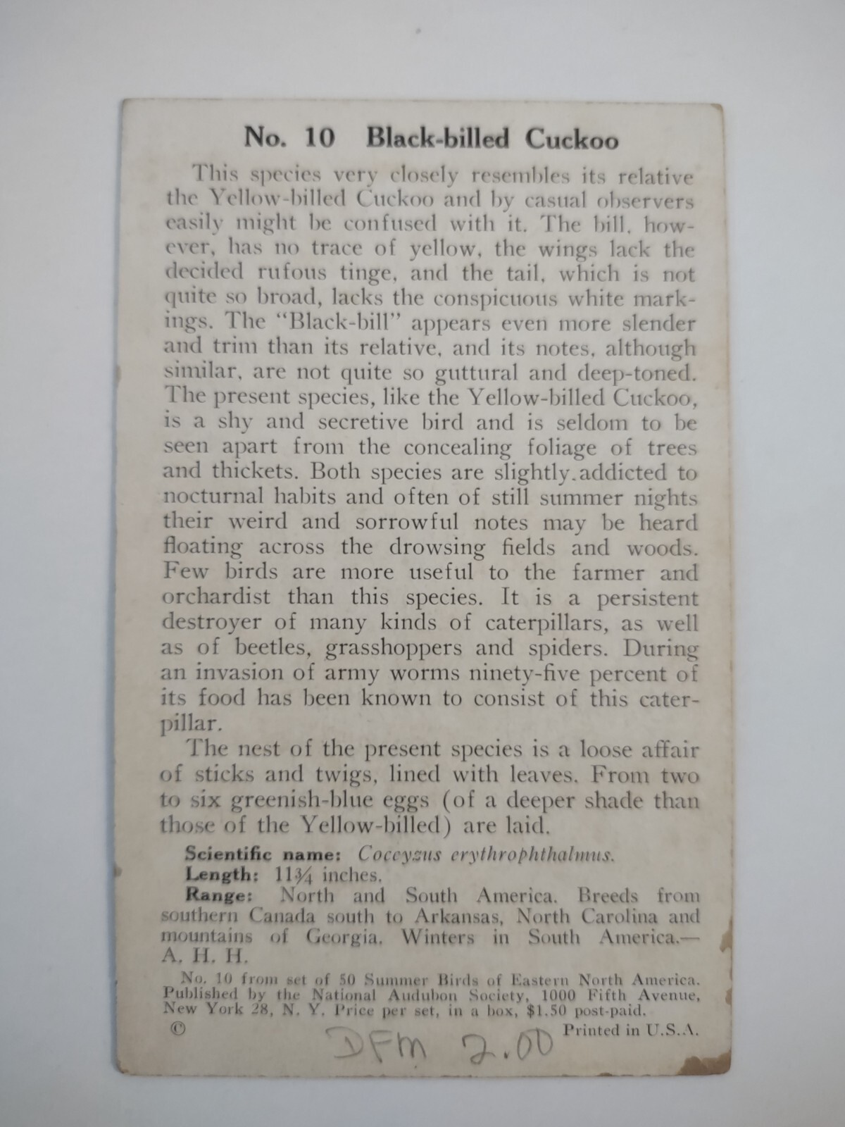 Vintage Postcard Trade Card Allan Brooks Audubon Black Billed Cuckoo Art AA46 thumbnail 2