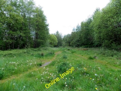 Foto 6x4 Gleiskreuzung in Carmeltown Brynmawr\/SO1811 zweigleisig konvertieren c2014