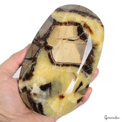 Museum Size 1.5 Kilo Natural Bi Color Septarian Designer Oval Cut Huge Loose Gem