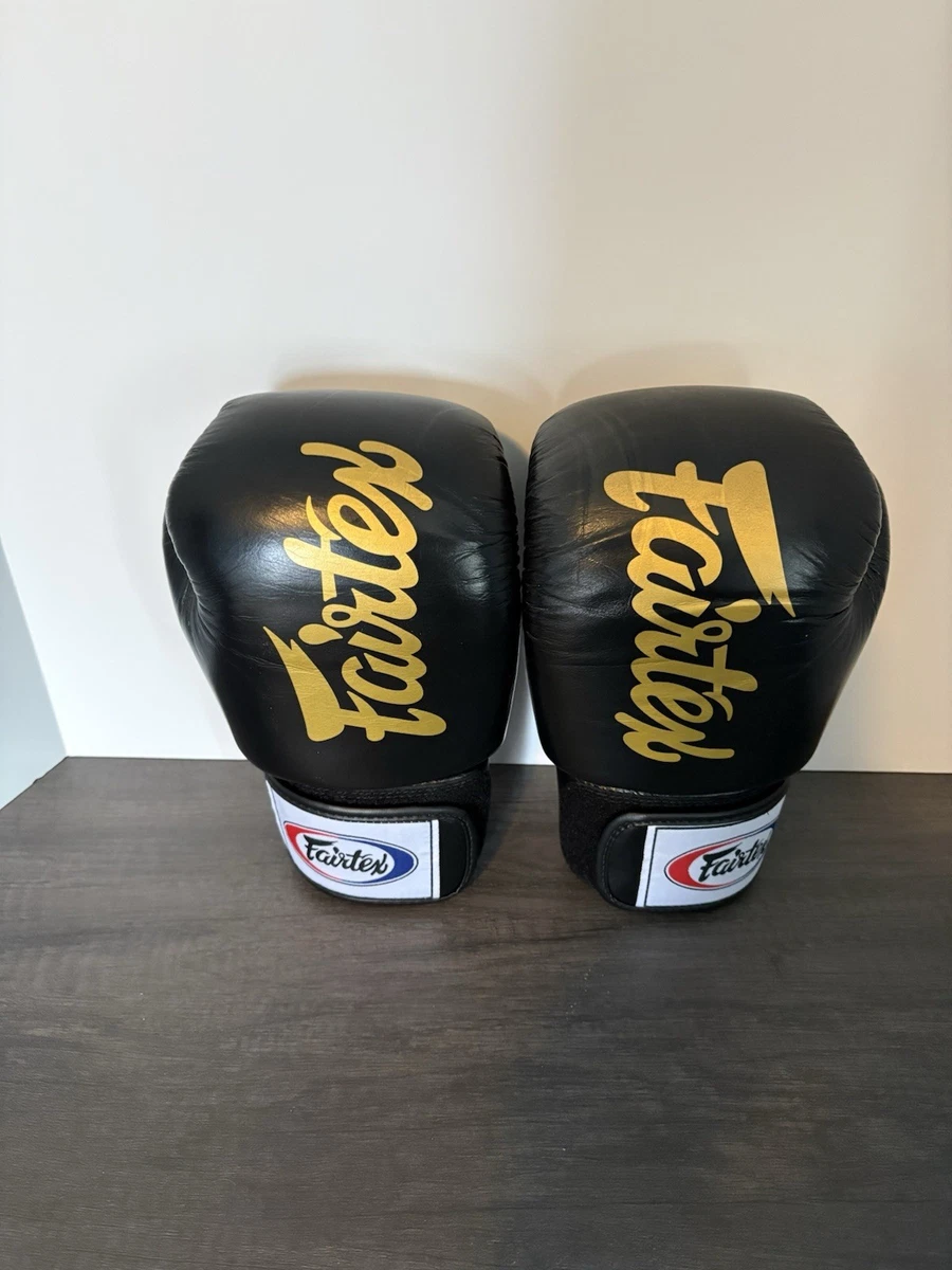 Fairtex 14 oz. Weight Boxing Gloves for sale | eBay
