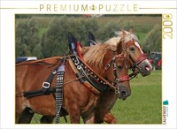 Calvendo Puzzle Kaltblutgespann | 2000 Teile Lege-GrößE 90 × 67 Cm Foto-Puzzle F