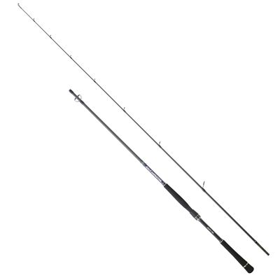 Hearty Rise Salt Monster SW Spin 2,15m 10-30g - Spinnrute, Angelrute, Meeresrute