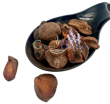 Dried Kola Nut Halves Cola Nut 20g 0.70oz - 1.9kg 4.2lbs Cola Nitida
