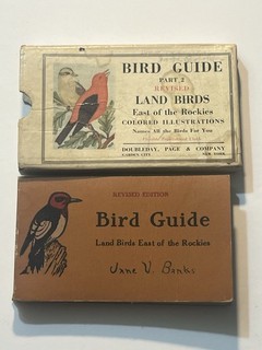 1926 Land Bird Guide East of the Rockies Color Illustrations Chester A. Reed
