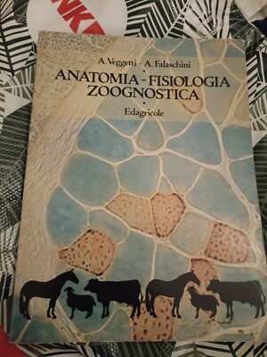 Anatomie Physiologie und Zoognostik in Gemüse/Phalaschini 