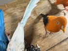 Lot Of Vintage Handcrafted Artificial Feather Bird Ornaments Crafting Or Wreaths — photo 8