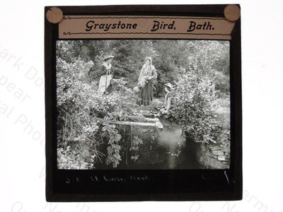 Graystone Vogeltränke Damen Pool Magic Lantern Slide um 1900