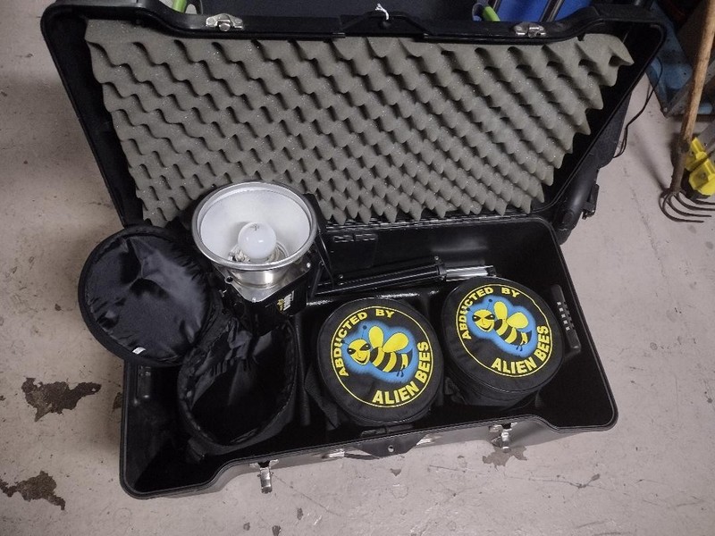3 Alien Bees Pro Photoflash Lighting 2 B1600 640WS & 1 B800 w/ Stands & Case