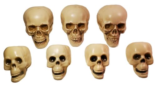 7pcs Plastic Human Skull Skeleton Horror Haunted Party Prop Halloween 6.5" - 8"