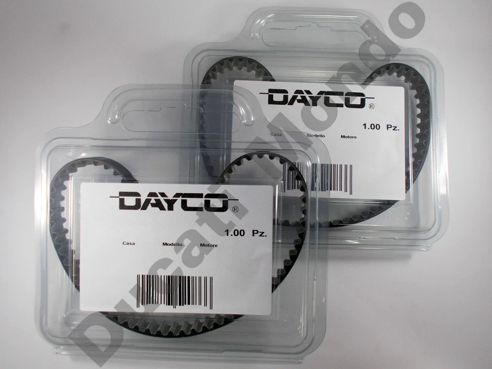Correas de distribución Dayco leva Ducati Monster 400 600 620 695 750 800 Supersport es decir S2R Foto 2 de 3