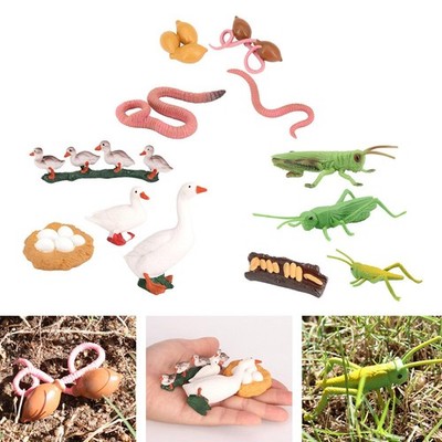 4 Stufen Wachstumsmodell Leben Tiermodelle Kind Fantasie Spielzeug