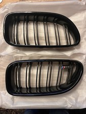 BMW M6 F12 Kidney Grills